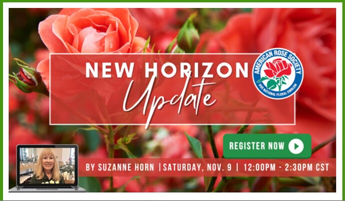 New Horizon Roses