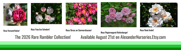 Rare Rambler Collection long photo green border