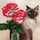 Jill_Barnard Jill_Barnard