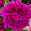 Matthew_Jones